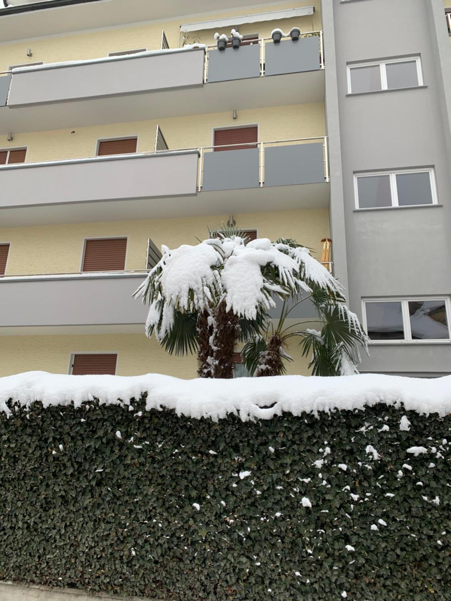 Cejm Appartement *